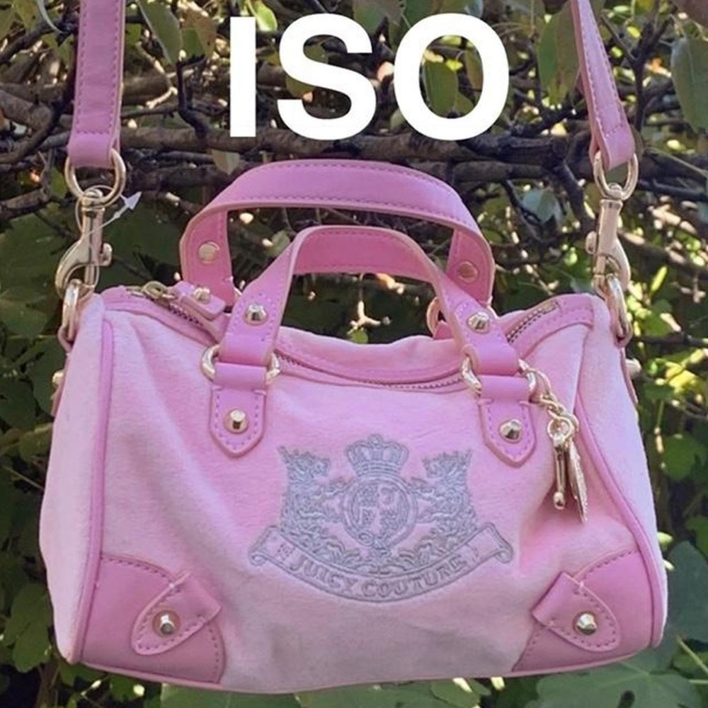 ISO juicy couture bag